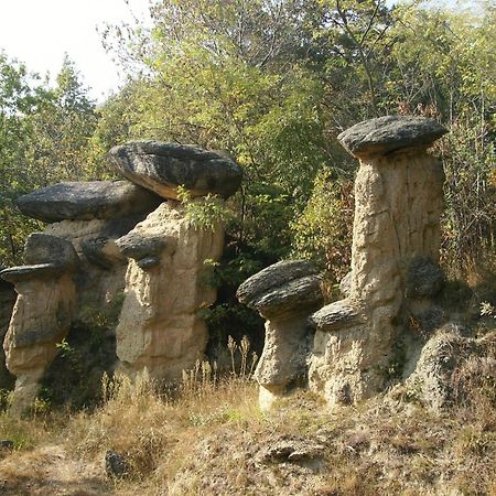 Il Barucin Bed and Breakfast Villar San Costanzo Εξωτερικό φωτογραφία