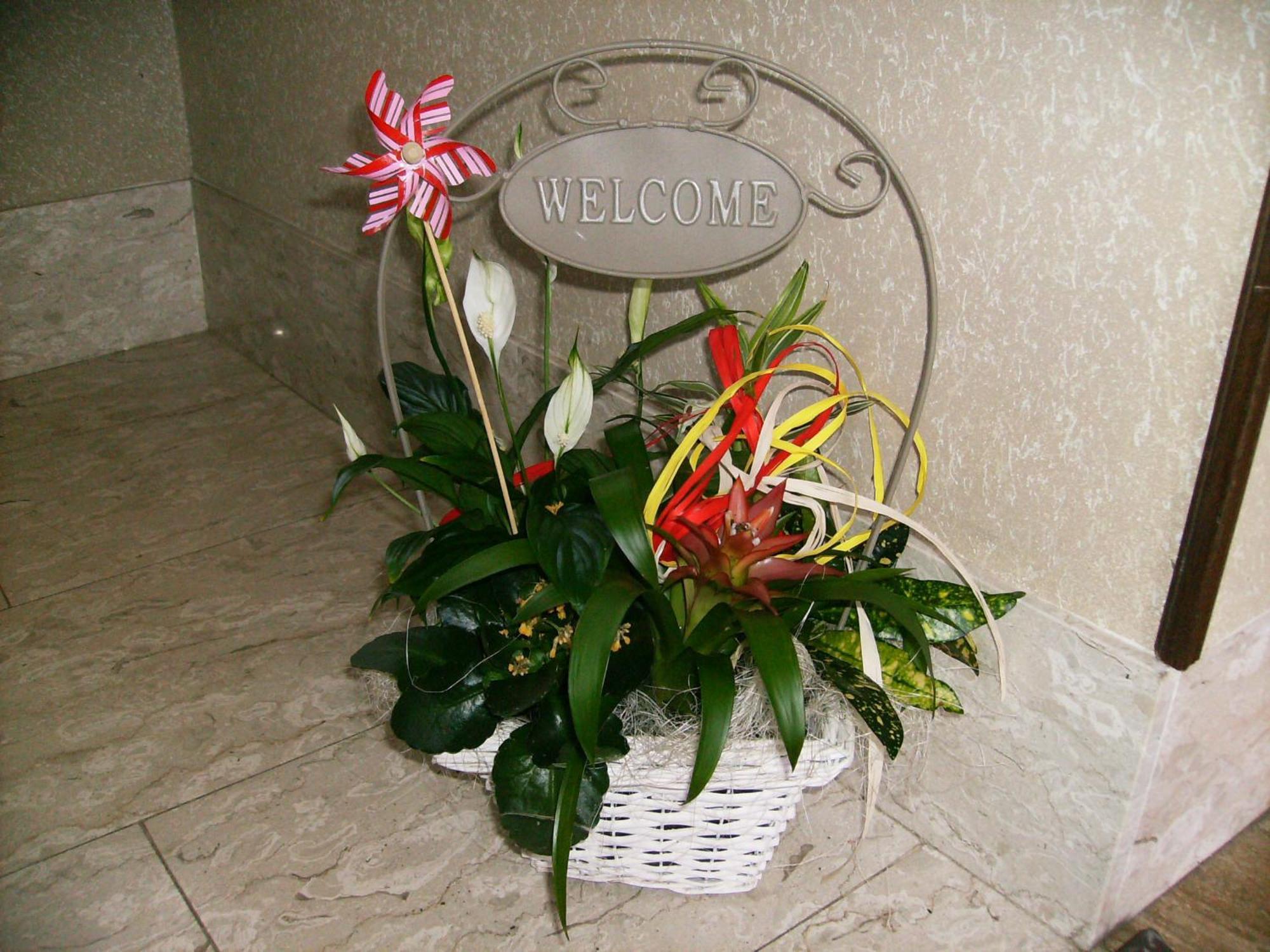 Il Barucin Bed and Breakfast Villar San Costanzo Εξωτερικό φωτογραφία